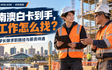 南澳白卡求职指南