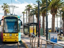 新手村文化差异大礼包