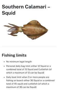 鱿鱼的Fishing Limit今年7月之后减少啦！！！