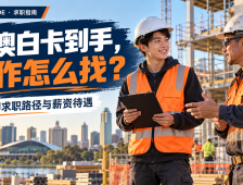 南澳白卡求职指南