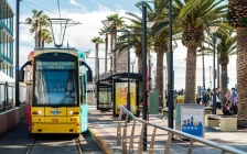 新手村文化差异大礼包