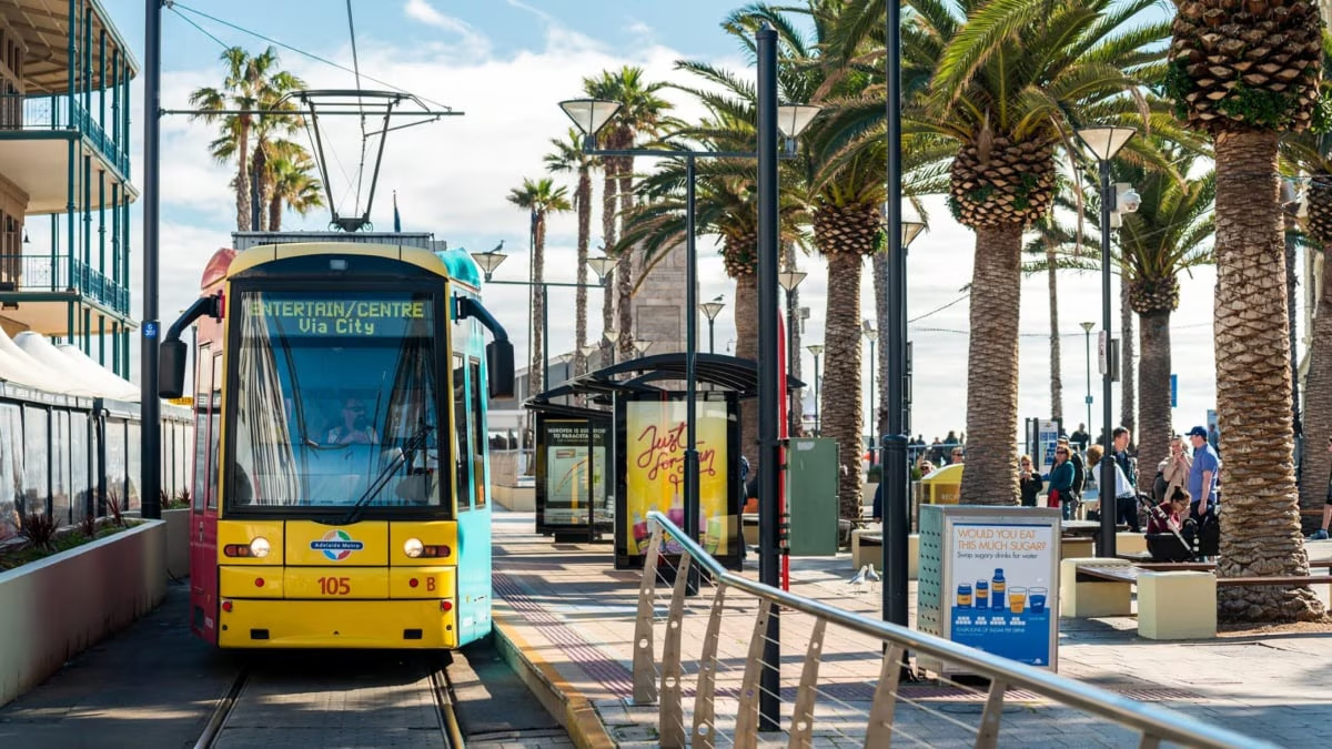 新手村文化差异大礼包