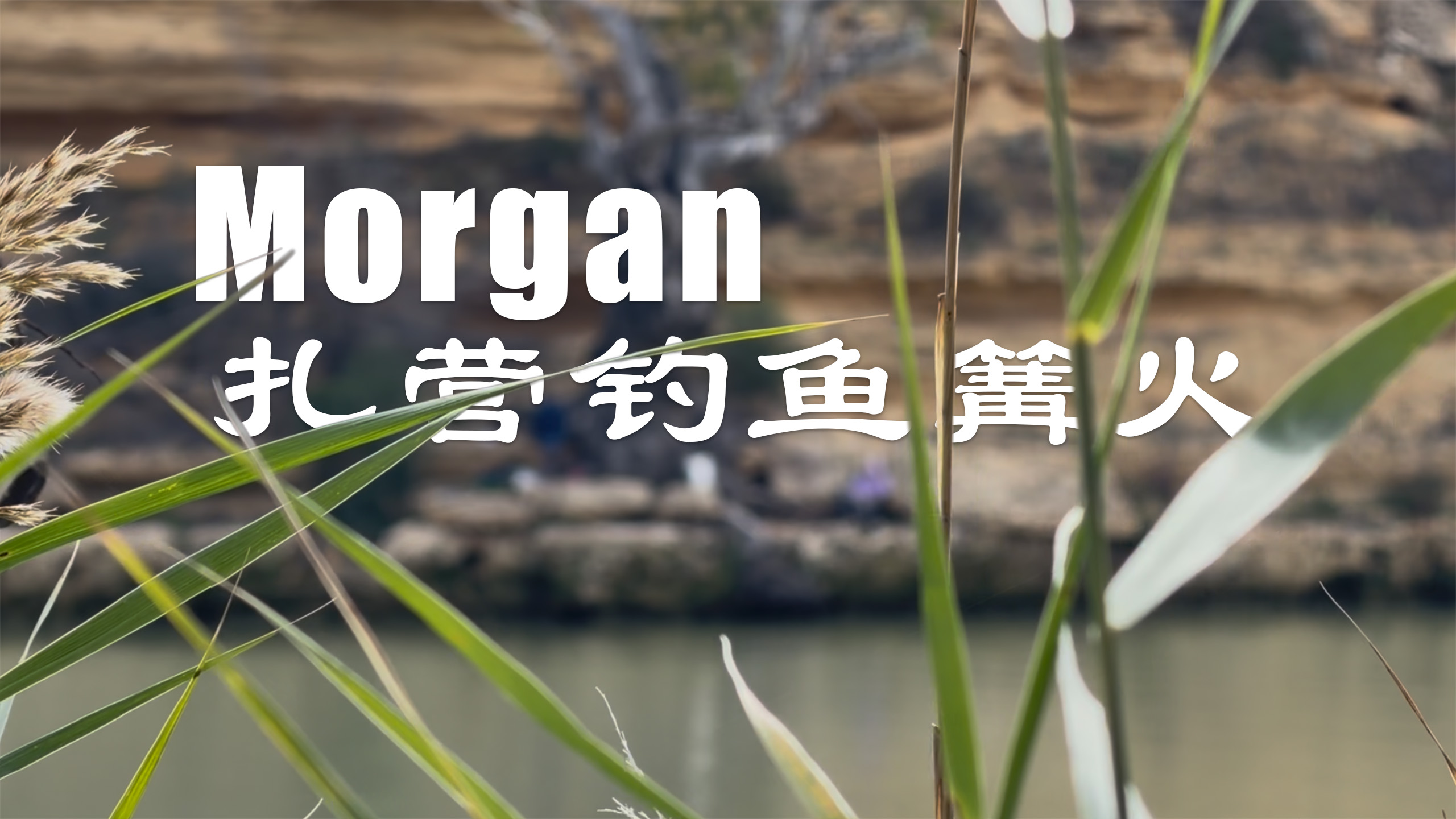 morgan-camping.jpg